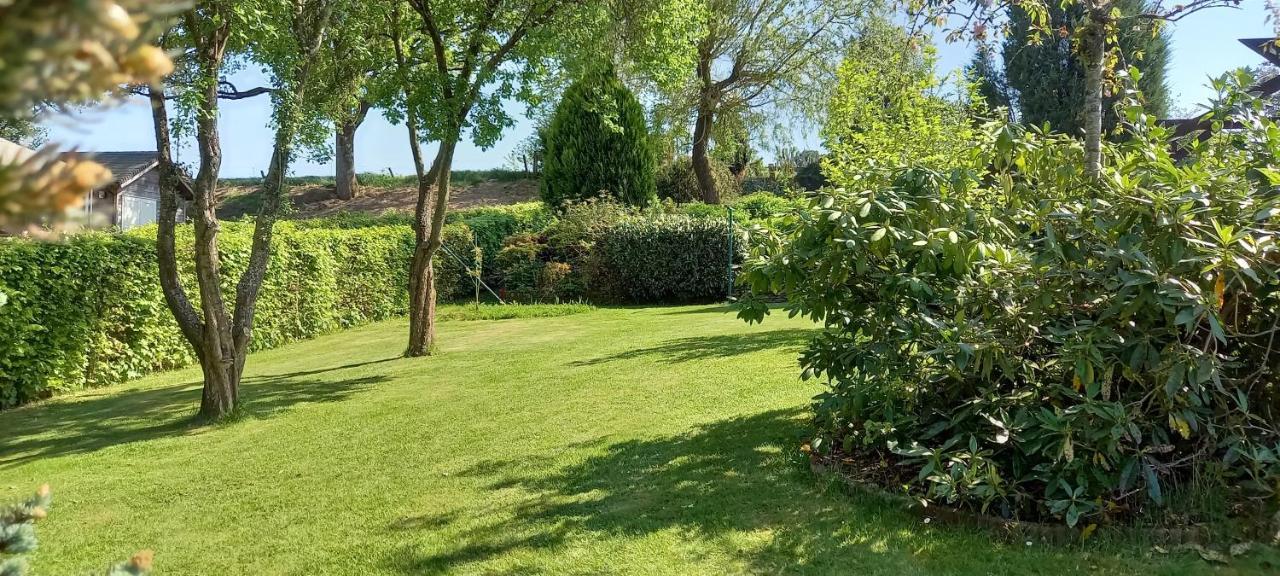 Gite Les Sittelles Tenneville Exterior photo